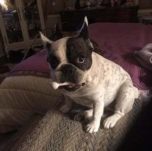 Meet your Posher, Sandra